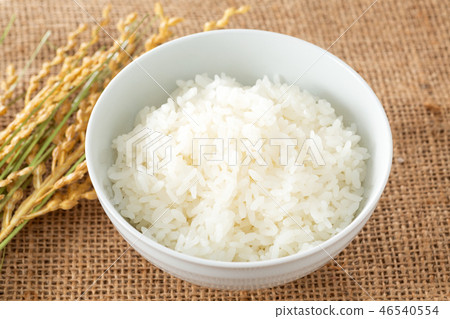 飯 46540554