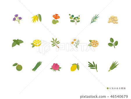 Popular herb aroma oil 46540679