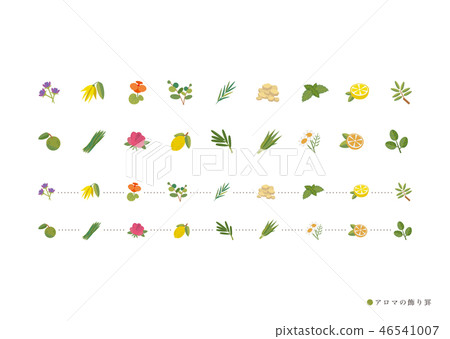 Popular herb ornament kei Popular herb ornament kei 46541007