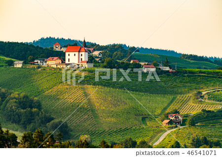 Vineyards with small village in Ritoznoj, Slovenia Vineyards with small village in Ritoznoj, Slovenia 46541071