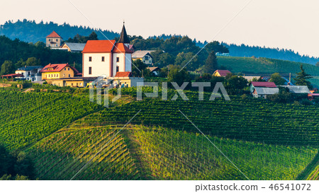 Vineyards with small village in Ritoznoj, Slovenia Vineyards with small village in Ritoznoj, Slovenia 46541072