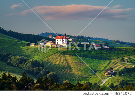 Vineyards with small village in Ritoznoj, Slovenia Vineyards with small village in Ritoznoj, Slovenia 46541073