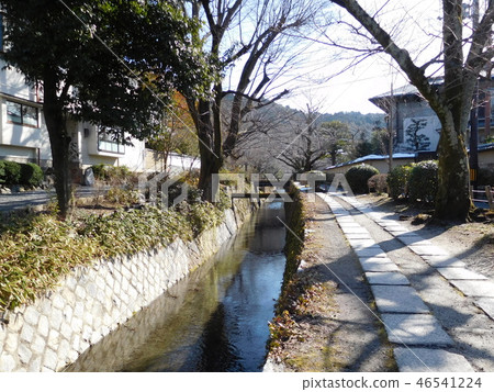 京都哲學之路 46541224