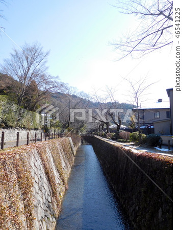 京都哲學之路 京都哲學之路 46541225
