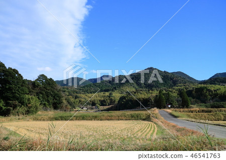 Countryside winter landscape 46541763