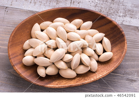 Ginkgo 46542091