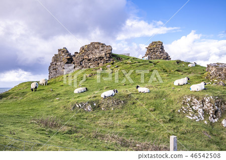 The ruins of Duntulm Castle, Isle of Skye - Scotland The ruins of Duntulm Castle, Isle of Skye - Scotland 46542508