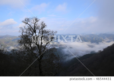 Sea of clouds in Nosakogawa village Sea of clouds in Nosakogawa village 46544431