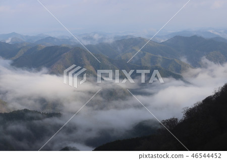 Sea of clouds in Nosakogawa village Sea of clouds in Nosakogawa village 46544452