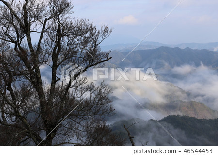 Sea of clouds in Nosakogawa village Sea of clouds in Nosakogawa village 46544453