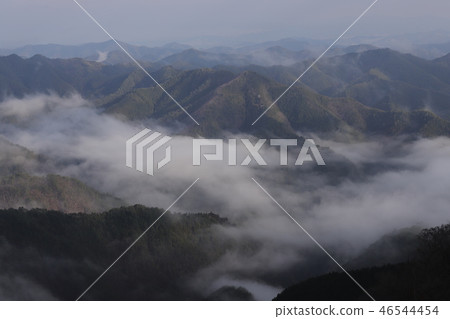 Sea of clouds in Nosakogawa village Sea of clouds in Nosakogawa village 46544454