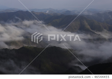 Sea of clouds in Nosakogawa village Sea of clouds in Nosakogawa village 46544455