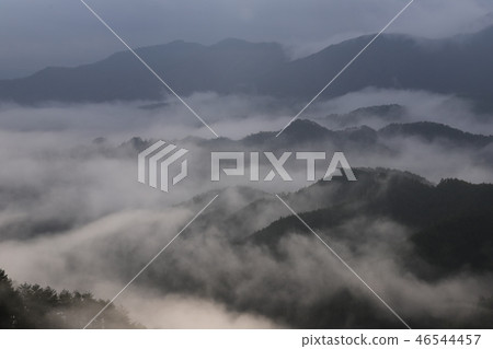 Sea of clouds in Nosakogawa village Sea of clouds in Nosakogawa village 46544457
