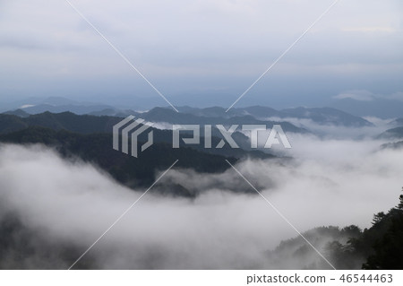 Sea of clouds in Nosakogawa village Sea of clouds in Nosakogawa village 46544463