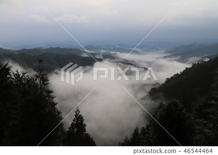 野坂川村的雲海 野坂川村的雲海 46544464