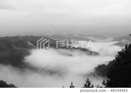 野坂川村的雲海 野坂川村的雲海 46544465