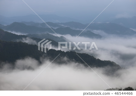 Sea of clouds in Nosakogawa village Sea of clouds in Nosakogawa village 46544466