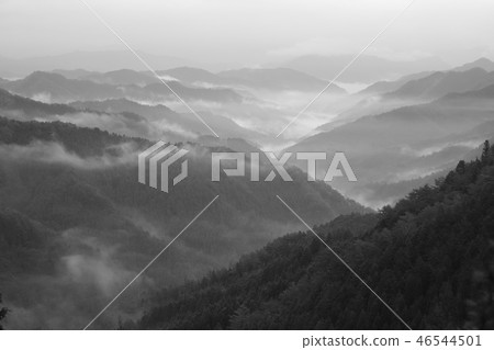 Sea of clouds in Nosakogawa village Sea of clouds in Nosakogawa village 46544501