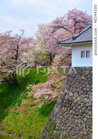 Sakurakei Ibaraki Park 46544580