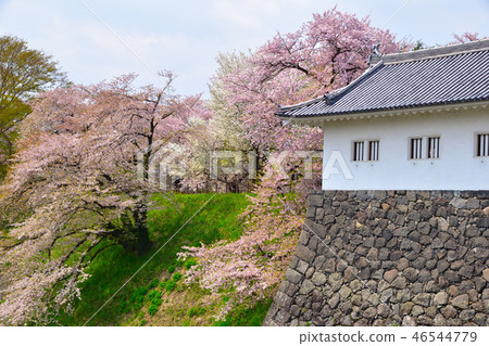 Sakurakei Ibaraki Park 46544779