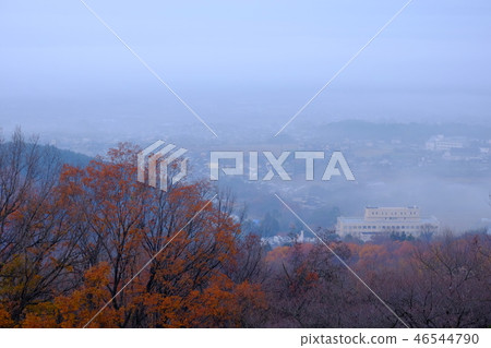 雲海中的奈良盆地（奈良市箱司町） 46544790