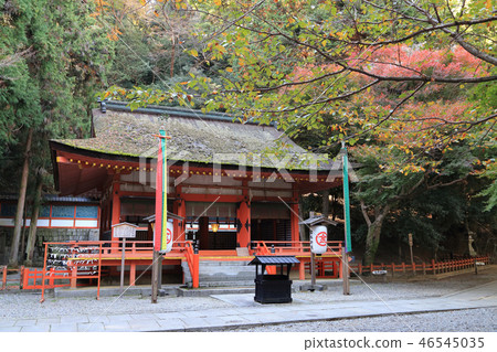 位於Kotohiragu神社（新莊節）從Omoto-miya到Osha的Momijidani的Hakumine神社 46545035