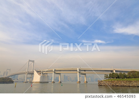 東京灣彩虹橋周圍 46545093
