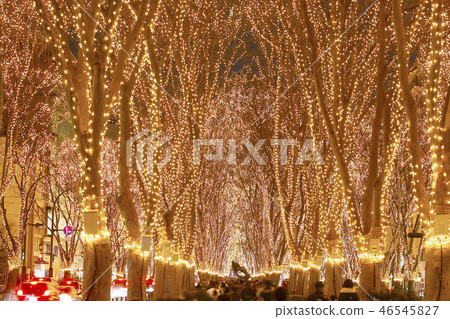 Sendai Hikari no Pageant Sendai City 46545827