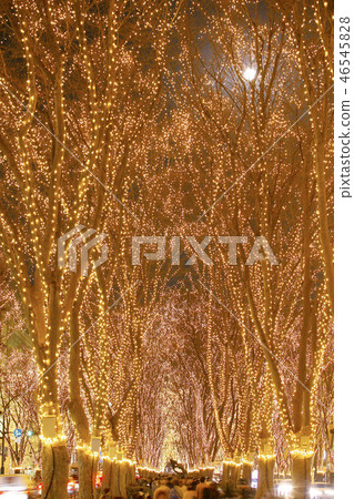 Sendai Hikari no Pageant Sendai City Sendai Hikari no Pageant Sendai City 46545828