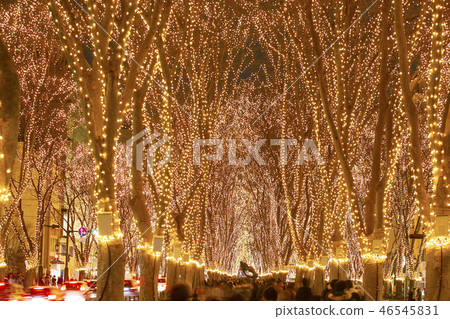 Sendai Hikari no Pageant Sendai City 46545831