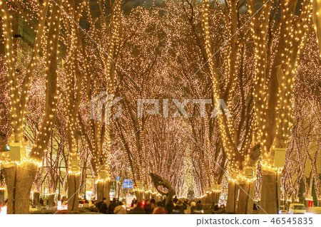 Sendai Hikari no Pageant Sendai City 46545835