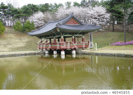 扶余文化情結池塘景觀 46545855