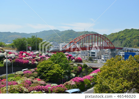 Ototo Ohashi和Azalea（廣島縣柏市） 46546020
