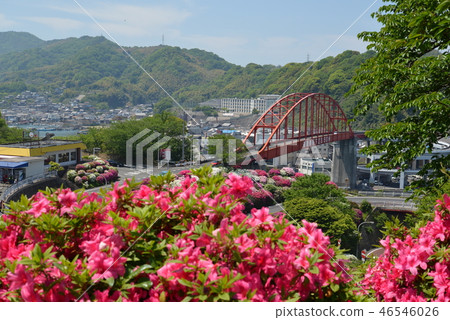 Ototo Ohashi and Azalea (Kashiwa City, Hiroshima Prefecture) 46546026