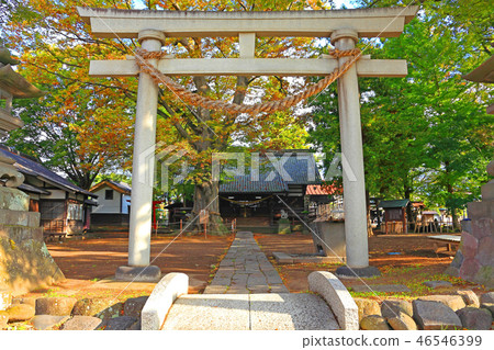 Torii自豪地站在場地的入口處 Torii自豪地站在場地的入口處 46546399