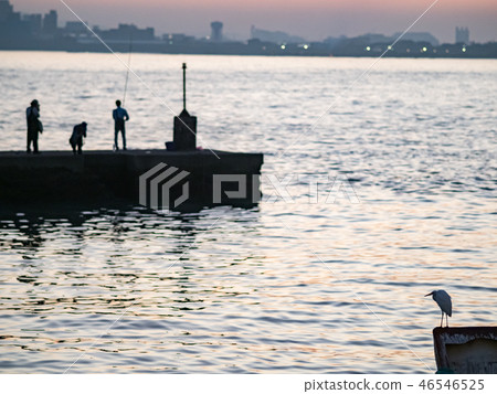 port in sundown 46546525