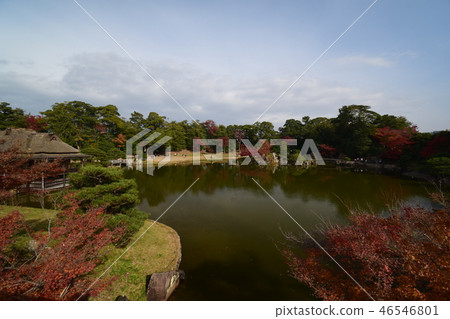 Hikone castle Genkyonen in autumn Hikone castle Genkyonen in autumn 46546801