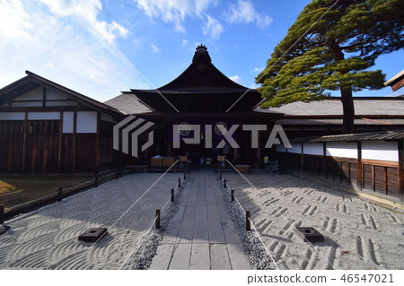 高山金雅 高山金雅 46547021