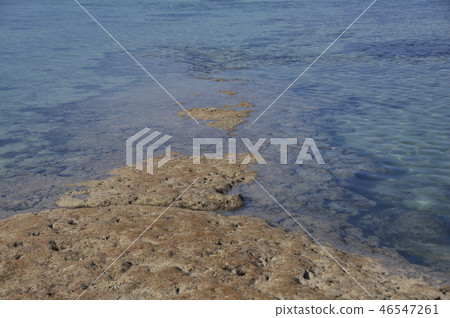 竹富島西碼頭 竹富島西碼頭 46547261