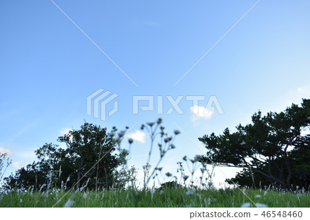 Urasoe Castle ruins 2 46548460
