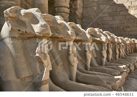 Row of ancient egyptian ram statues in Karnak Temple 46548631
