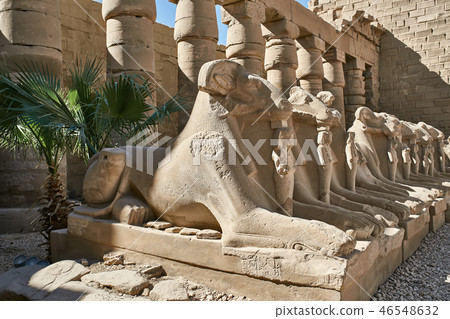 Row of ancient egyptian ram statues in Karnak Temple 46548632