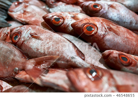 Rows of wet fresh red fishes which lying on each other Rows of wet fresh red fishes which lying on each other 46548655