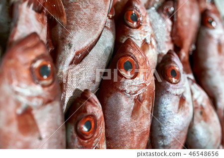 Bunch of wet fresh red fishes which lying on each other Bunch of wet fresh red fishes which lying on each other 46548656