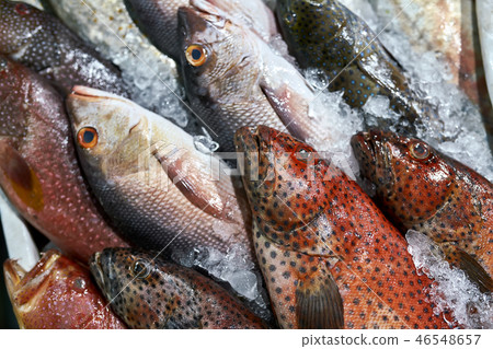 Multicolored wet fresh fishes lying on ice 46548657