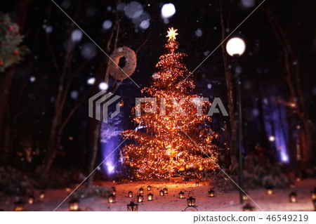 輕井澤的白色聖誕節聖誕燈 46549219