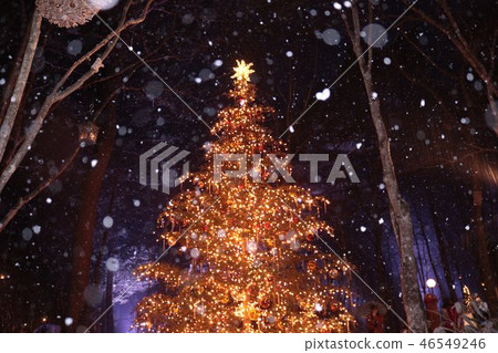 輕井澤的白色聖誕節聖誕燈 46549246