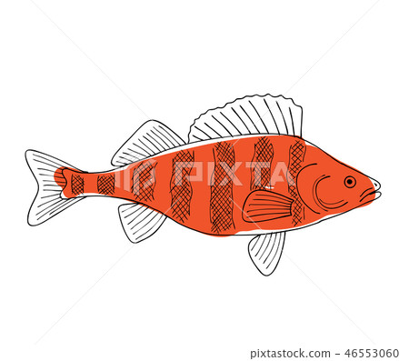 Fish, sketch for your design Fish, sketch for your design 46553060