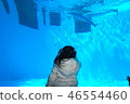 Aquarium 46554460