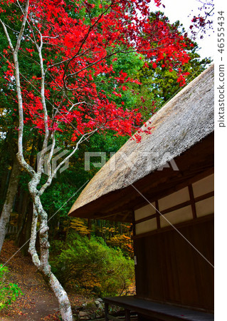 Horakuji寺秋天風景Ueda市 Horakuji寺秋天風景Ueda市 46555434